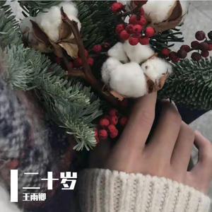 摄像头 间谍 隐 Tube
